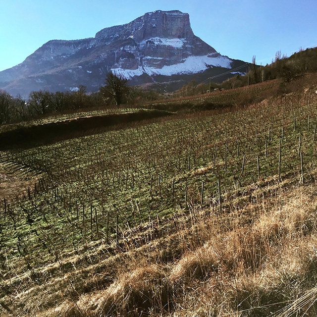 domaine_masson