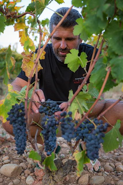 domaine_le_bruyeres_2